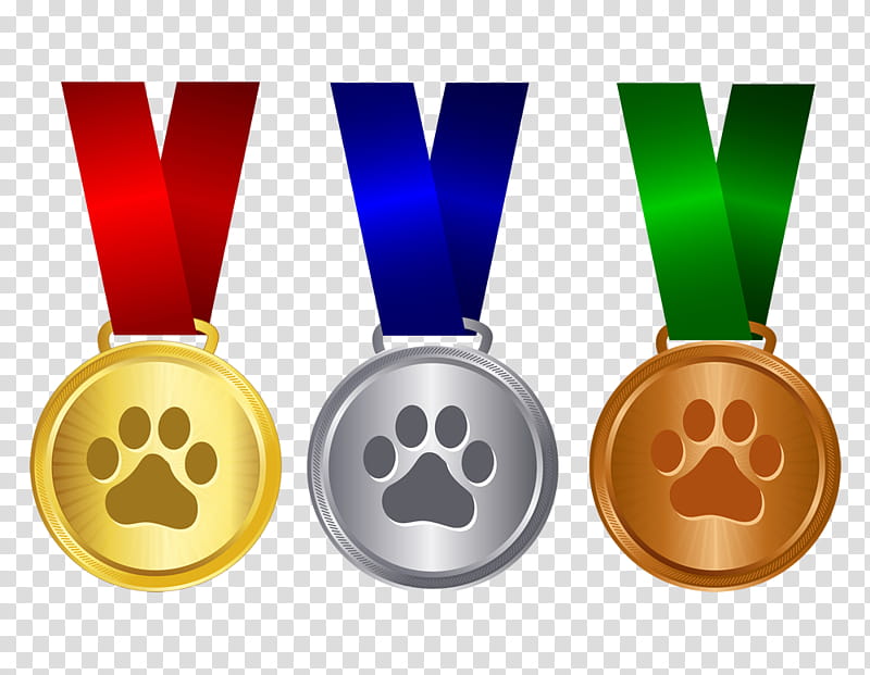 Cartoon Gold Medal, Bronze Medal, Silver Medal, Award, Rosette, Ribbon, Winner Ribbons 12ct transparent background PNG clipart