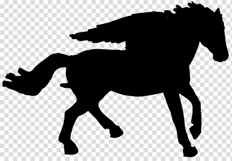 Company, Mustang, English Riding, Stallion, Mane, Rein, Bridle, Halter transparent background PNG clipart