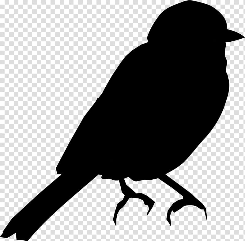 Robin Bird, Swallow, Silhouette, Lovebird, Common Blackbird, Portrait, Drawing, Songbirds transparent background PNG clipart