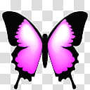 Butterfly Cam, ButterflyCam_Pink icon transparent background PNG clipart