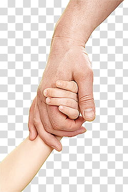 hands, two hands holding transparent background PNG clipart