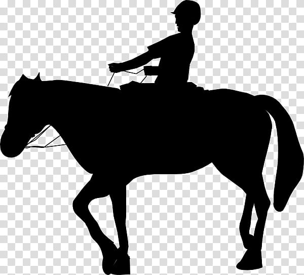 Horse, Equestrian, Silhouette, Cowboy, Horserider, Drawing, RODEO, Animal Sports transparent background PNG clipart