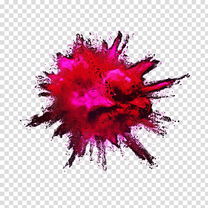 Explosion, Editing, Drawing, Color, Pink, Red, Magenta, Plant transparent background PNG clipart