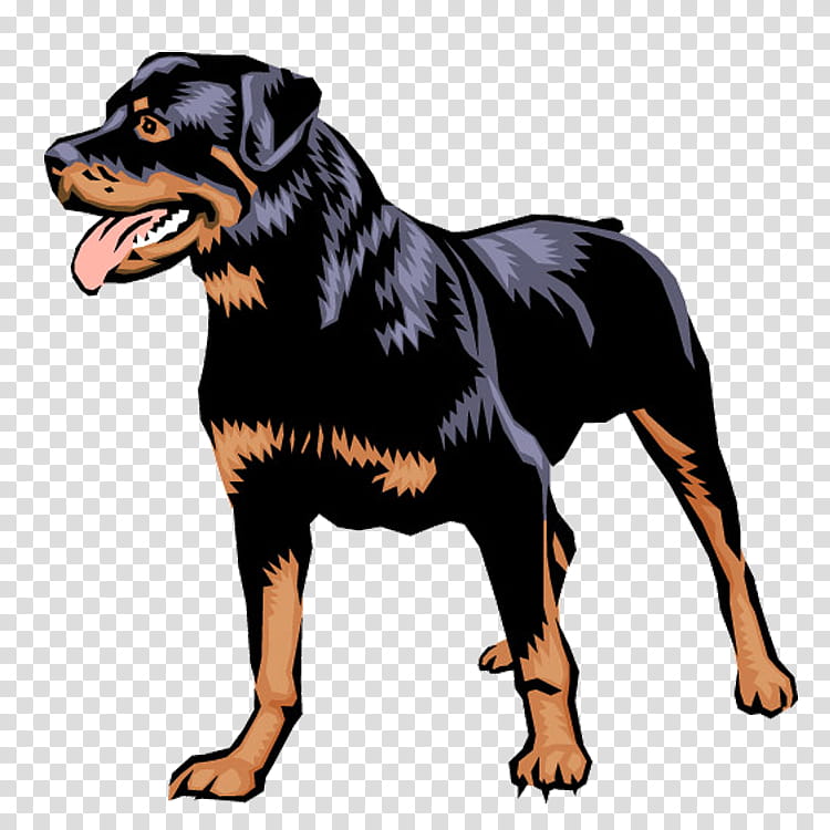 dog rottweiler working dog companion dog transparent background PNG clipart