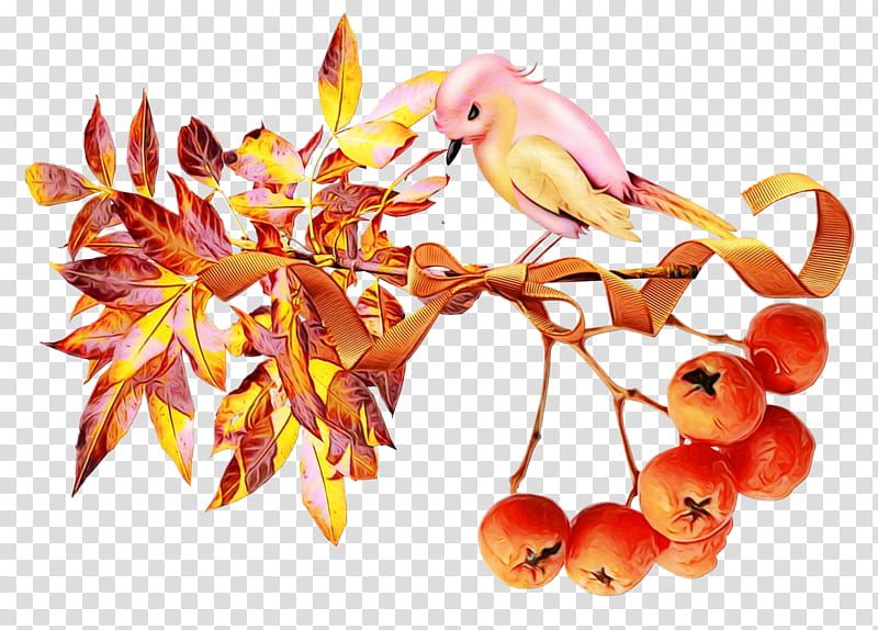 Watercolor Flower, Paint, Wet Ink, Acorn, Fruit, Nut, Hazelnut, Autumn transparent background PNG clipart