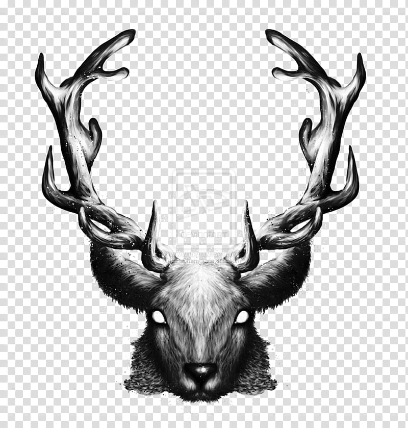 Trophy, Reindeer, Elk, Trophy Hunting, Horn, Antler, Head, Wildlife transparent background PNG clipart