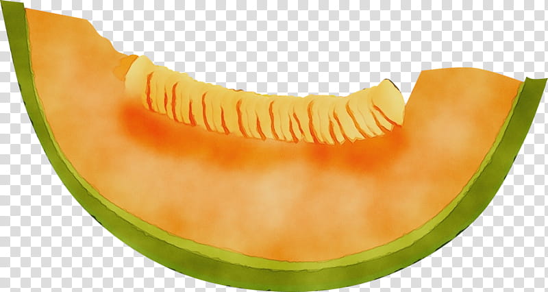 Orange, Watercolor, Paint, Wet Ink, Melon, Muskmelon, Fruit, Cucumber Gourd And Melon Family transparent background PNG clipart
