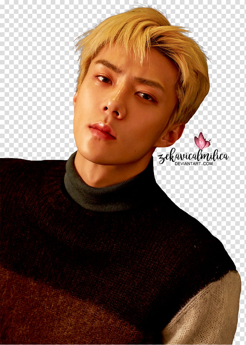 EXO Sehun For Life, Exo Oh Sehun transparent background PNG clipart