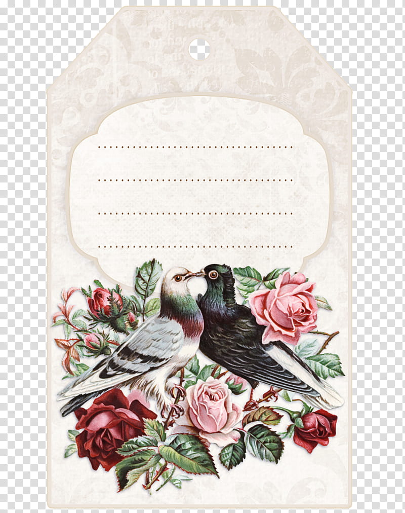 Holly, Bird, Plant, Flower, Perching Bird, Songbird, Rose, Magnolia transparent background PNG clipart
