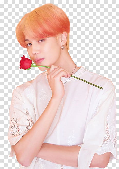 / / BTS | MAP OF THE SOUL PERSONA V. transparent background PNG clipart