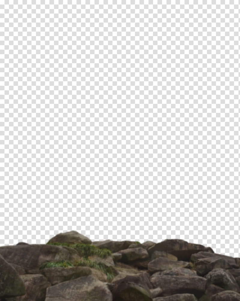 Green Grass, Rock, Editing, Wall, Brown, Soil, Tree, Stone Wall transparent background PNG clipart