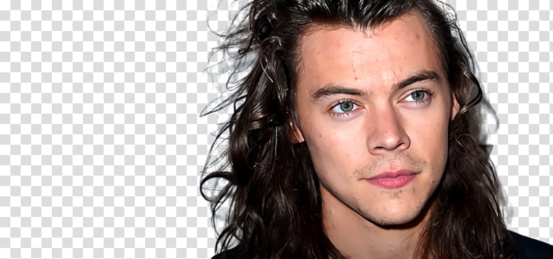 Mouth, Harry Styles, Singer, One Direction, Dunkirk, Sign Of The Times, Celebrity, Hair transparent background PNG clipart