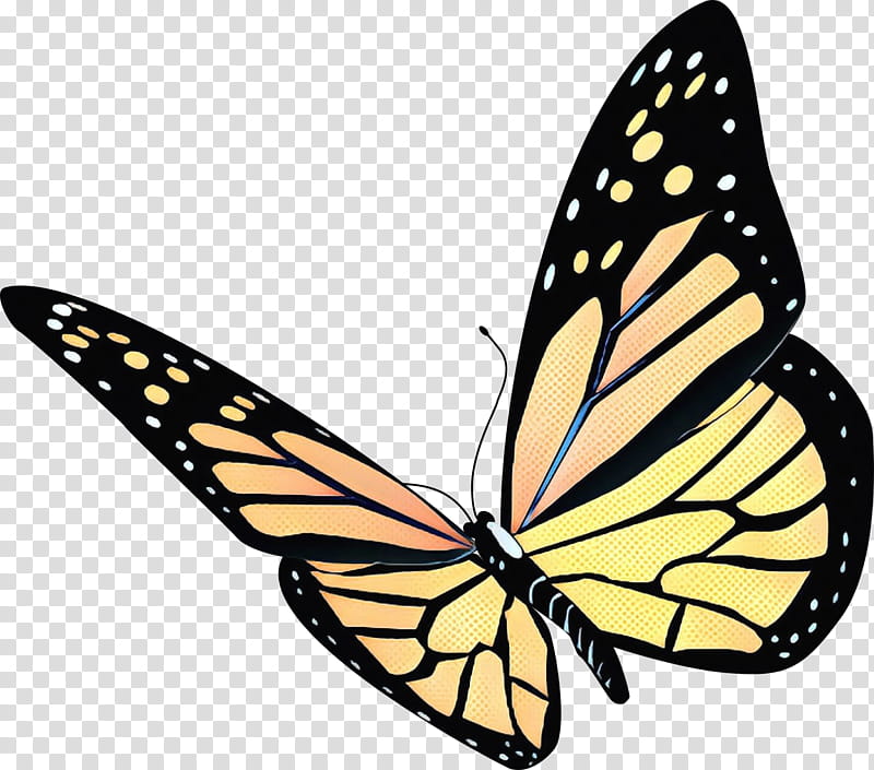 Monarch Butterfly Drawing, Queen Alexandras Birdwing, Insect, Moths And Butterflies, Cynthia Subgenus, Brushfooted Butterfly, Viceroy Butterfly, Pollinator transparent background PNG clipart