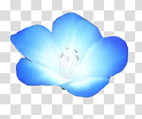 flores azules transparent background PNG clipart