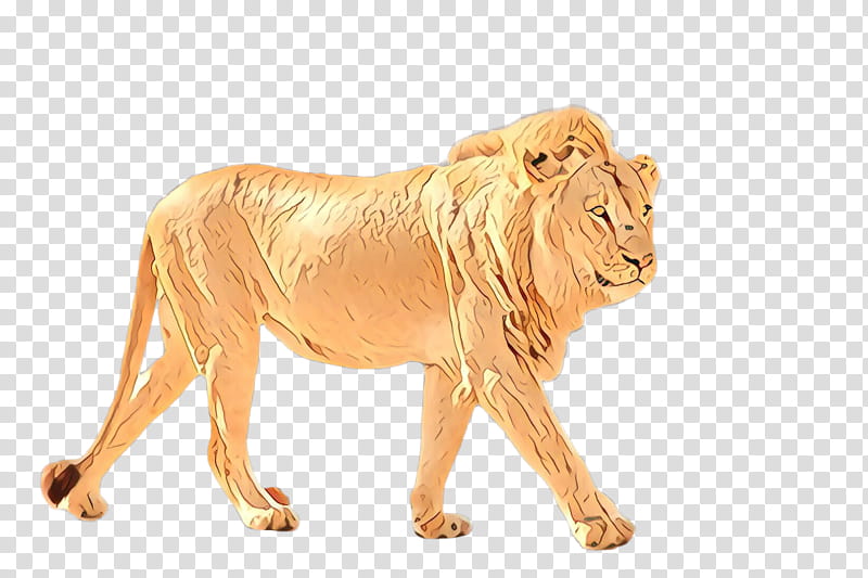 lion animal figure wildlife masai lion roar, Mane transparent background PNG clipart