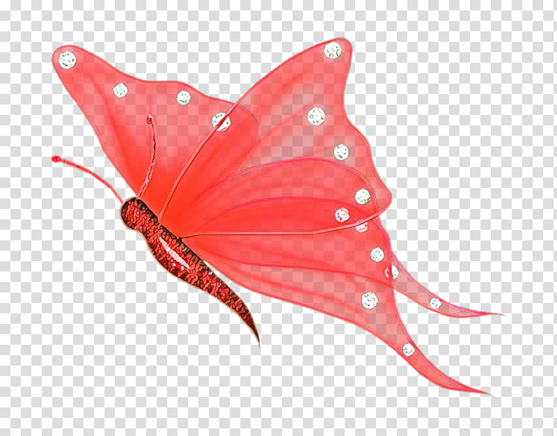 Monarch Butterfly Drawing, Insect, Glasswing Butterfly, Lepidoptera, Moths And Butterflies, Red, Pink, Pollinator transparent background PNG clipart