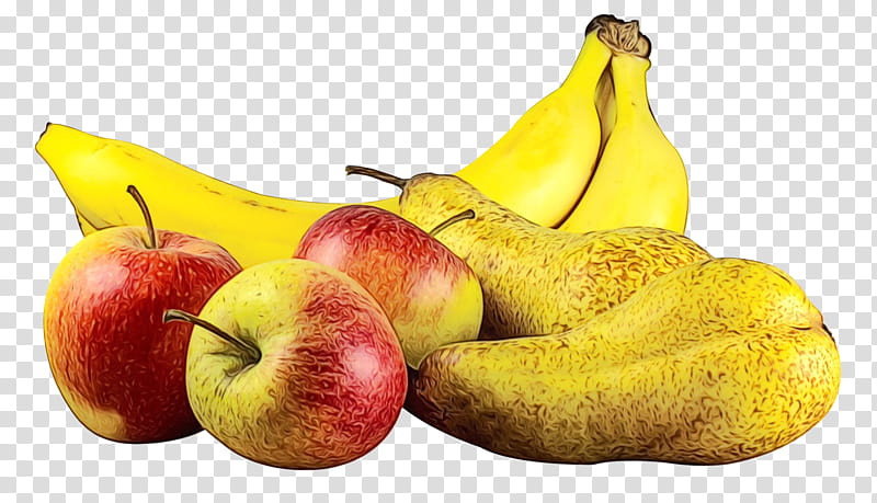 Tree Of Life, Food, Banana, Fruit, Eating, Healthy Diet, Blog, Beslenme transparent background PNG clipart