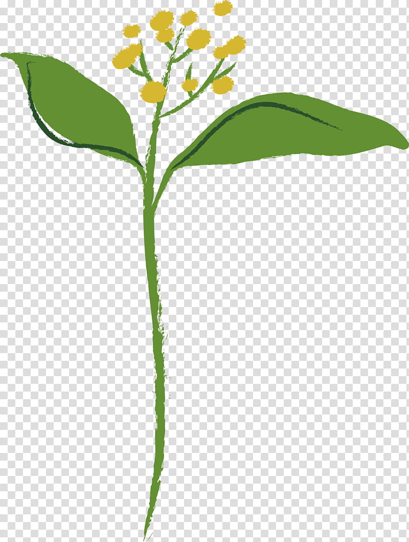 flower alpine forget-me-not plant leaf plant stem, Alpine Forgetmenot, Pedicel, Wildflower, Milkweed transparent background PNG clipart