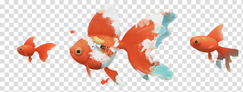 s, goldfish illustration transparent background PNG clipart