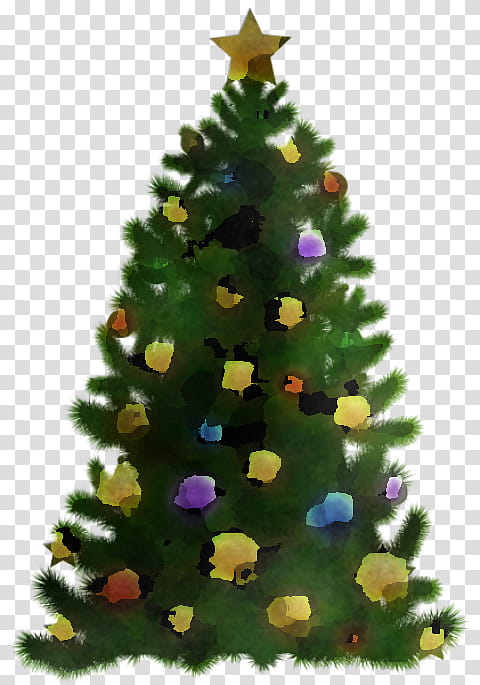 Christmas tree, Balsam Fir, Colorado Spruce, Yellow Fir, Oregon Pine, Christmas Decoration, Holiday Ornament, Christmas Ornament transparent background PNG clipart Christmas tree, Balsam Fir, Colorado Spruce, Yellow Fir, Oregon Pine, Christmas Decoration, Holiday Ornament, Christmas Ornament transparent background PNG clipart