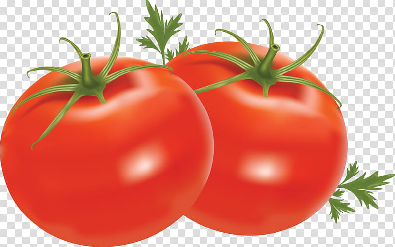 Grape, Plum Tomato, Vegetable, Cherry Tomato, Grape Tomato, Food, Heirloom Tomato, Pear Tomato transparent background PNG clipart