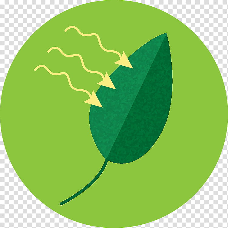 Green Leaf Logo, Fruit, Circle, Grass, Symbol transparent background PNG clipart