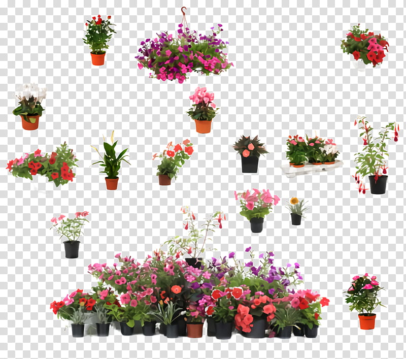 Floral design, Flower, Flowerpot, Plant, Pink, Houseplant, Artificial Flower, Bougainvillea transparent background PNG clipart