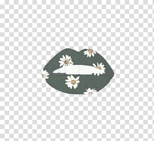 overlays, green and white daisy flower print lips transparent background PNG clipart