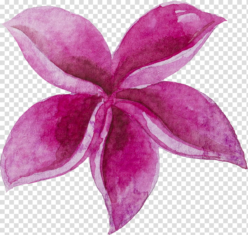 Purple Watercolor Flower, Watercolor Painting, Petal, Sticker, Violet, Discover Card, Pink, Plant transparent background PNG clipart