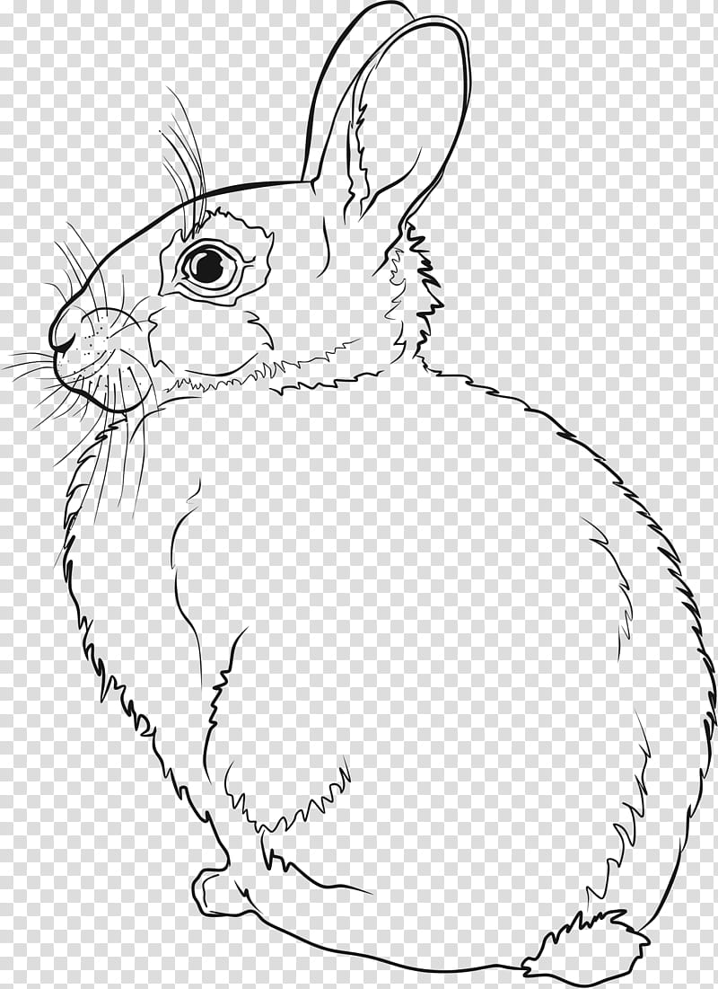 Book Black And White, Hare, European Rabbit, Line Art, Drawing, Coloring Book, Cartoon, Leporids, Whiskers, Black And White transparent background PNG clipart
