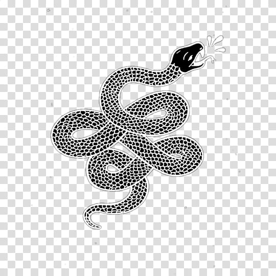 s, black and white snake illustration transparent background PNG clipart