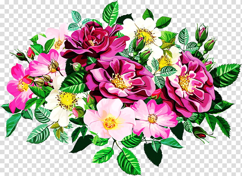 Rose, Flower, Flowering Plant, Petal, Pink, Prickly Rose, Cut Flowers, Bouquet transparent background PNG clipart