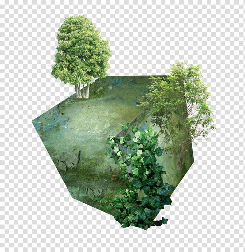 Landscape Cube, green-leafed tree transparent background PNG clipart