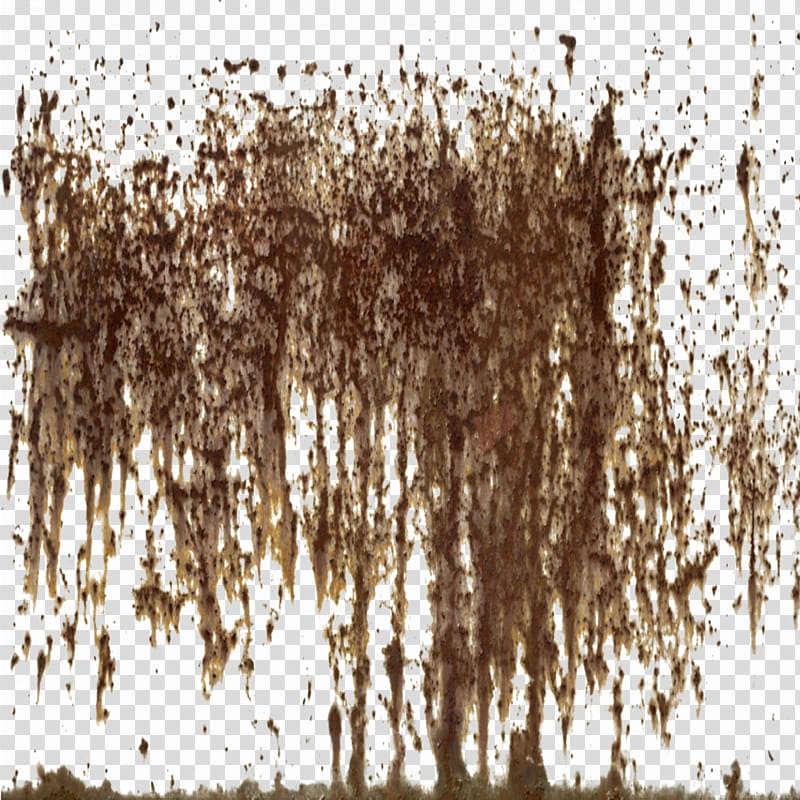 Rusted Brushes and, brown painting transparent background PNG clipart
