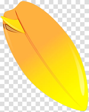 Yellow, Orange, Plant transparent background PNG clipart thumbnail