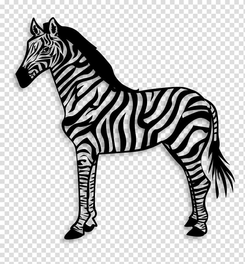 Zebra, Pony, Quagga, Mustang, Area, Horse, Lesson, Number transparent background PNG clipart