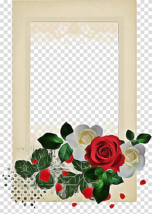 Christmas Decoration Drawing, Frames, Flower, Painting, Garden Roses, Pink, Floral Design, Cabbage Rose transparent background PNG clipart