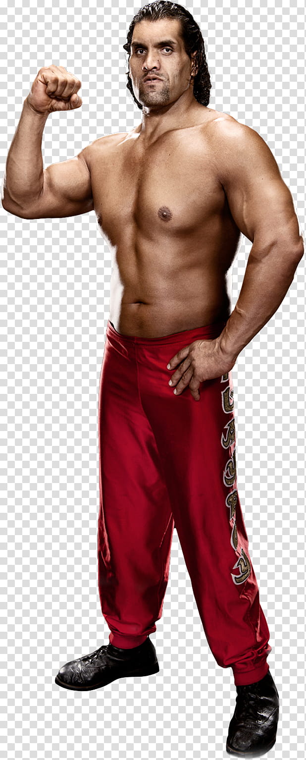 The Great Khali Stats transparent background PNG clipart | HiClipart