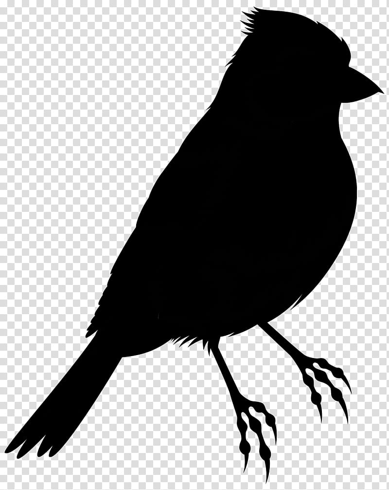 Bird Line Drawing, Silhouette, Swallow, Portrait, Chickadee, Line Art, Printmaking, Beak transparent background PNG clipart