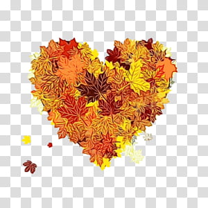 Orange, Watercolor, Paint, Wet Ink, Heart, Yellow, Flower, Tagetes transparent background PNG clipart thumbnail