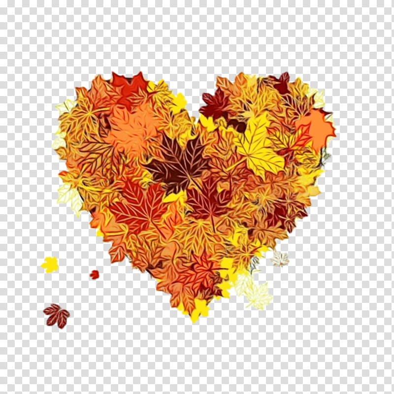 Orange, Watercolor, Paint, Wet Ink, Heart, Yellow, Flower, Tagetes transparent background PNG clipart