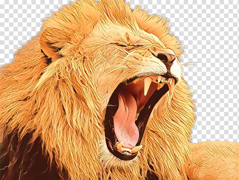 roar lion masai lion facial expression wildlife, Yawn, Snout, Tooth, Mouth, Adaptation, Neck, Mythology transparent background PNG clipart