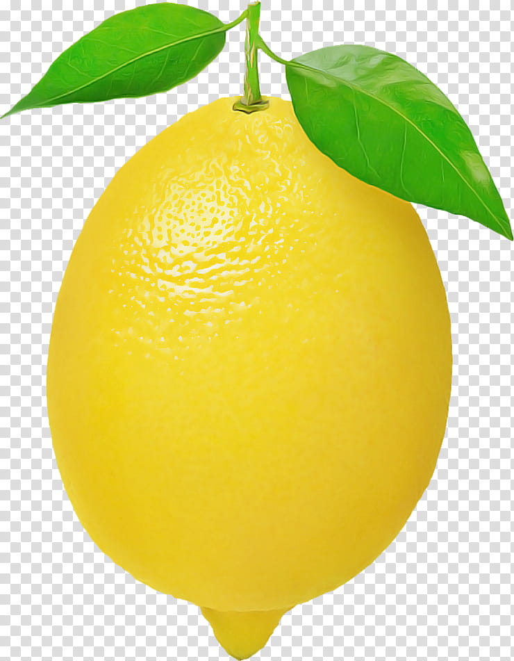 lemon citrus yellow fruit sweet lemon, Lime, Citron, Plant, Leaf, Persian Lime transparent background PNG clipart