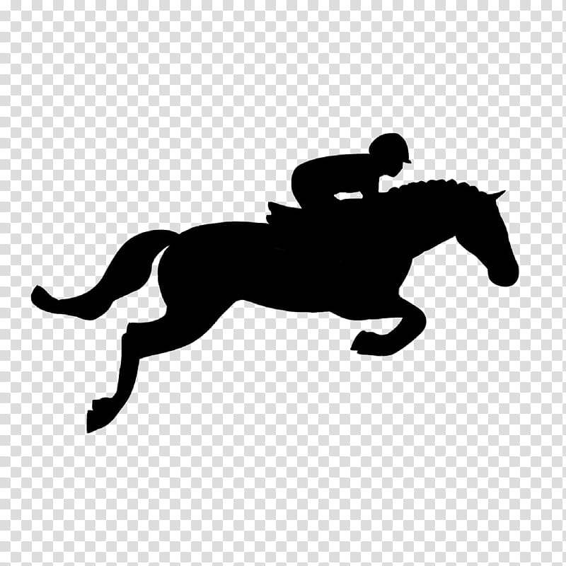 Sport Logo, Horse, Jumping, Show Jumping, Equestrian, Horses Jumping, Collection, Hunt Seat transparent background PNG clipart