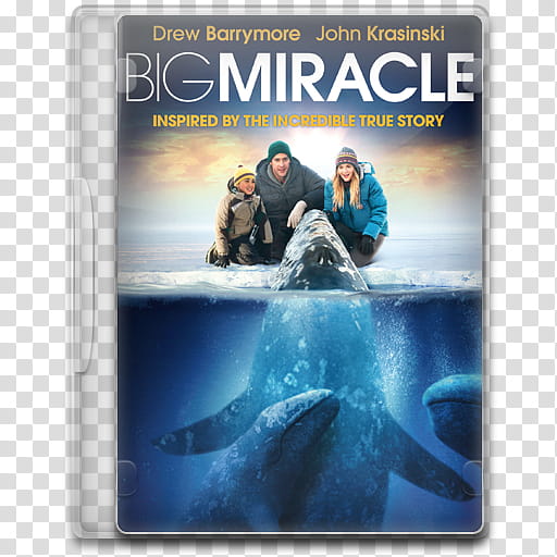 Movie Icon , Big Miracle, Big Miracle DVD case transparent background PNG clipart