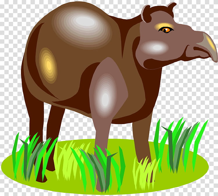 Cartoon Grass, Horse, Tapir, Cattle, Byte, Snout, Animal, Wildlife, Cartoon transparent background PNG clipart