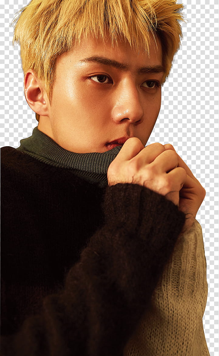 EXO FOR LIFE SPECIAL WINTER ALBUM RENDER , Exo member wearing brown and black jacket transparent background PNG clipart