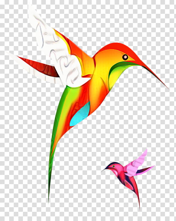 Hummingbird Drawing, Rufous Hummingbird, Web Design, Beak, Wildlife, Heliconia transparent background PNG clipart