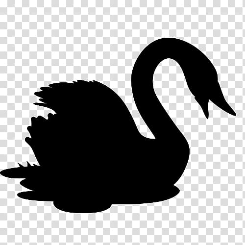 Bird Silhouette, Duck, Goose, Swans, Beak, Black Swan, Ducks Geese And Swans, Water Bird transparent background PNG clipart