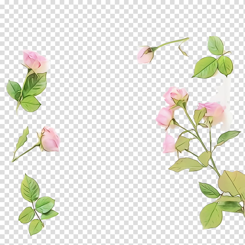 flower plant petal branch flowering plant, Watercolor, Paint, Wet Ink, Leaf, Prickly Rose transparent background PNG clipart